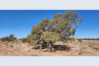 5137 Encanto Road, Snowflake, AZ 85937 - Photo 13