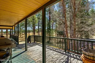 61 Co Rd 2266, Alpine, AZ 85920 - Photo 31