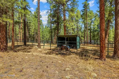 61 Co Rd 2266, Alpine, AZ 85920 - Photo 47