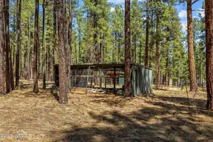 61 Co Rd 2266, Alpine, AZ 85920 - Photo 45