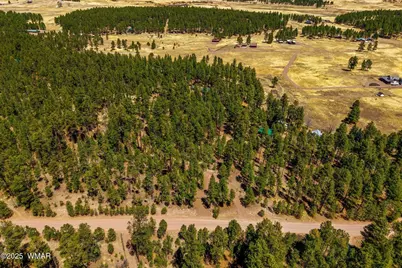 61 Co Rd 2266, Alpine, AZ 85920 - Photo 51