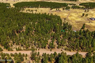 61 Co Rd 2266, Alpine, AZ 85920 - Photo 51