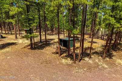61 Co Rd 2266, Alpine, AZ 85920 - Photo 49