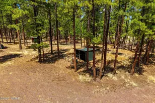 61 Co Rd 2266, Alpine, AZ 85920 - Photo 49