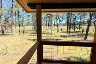 61 Co Rd 2266, Alpine, AZ 85920 - Photo 57