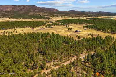 61 Co Rd 2266, Alpine, AZ 85920 - Photo 49