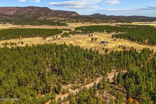 61 Co Rd 2266, Alpine, AZ 85920 - Photo 49