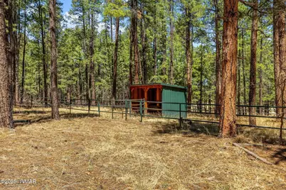 61 Co Rd 2266, Alpine, AZ 85920 - Photo 13