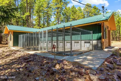 61 Co Rd 2266, Alpine, AZ 85920 - Photo 43