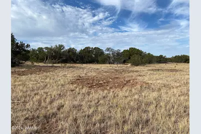 8332 Pinon Drive, Show Low, AZ 85901 - Photo 5