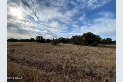 8332 Pinon Drive, Show Low, AZ 85901 - Photo 9