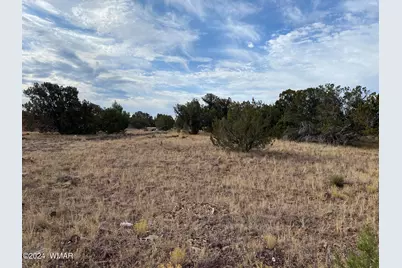 8332 Pinon Drive, Show Low, AZ 85901 - Photo 7