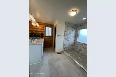 446 Becker Lake Road, Springerville, AZ 85938 - Photo 11