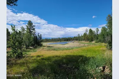 8659 Coronado Drive, Show Low, AZ 85901 - Photo 15