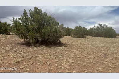 8659 Coronado Drive, Show Low, AZ 85901 - Photo 7