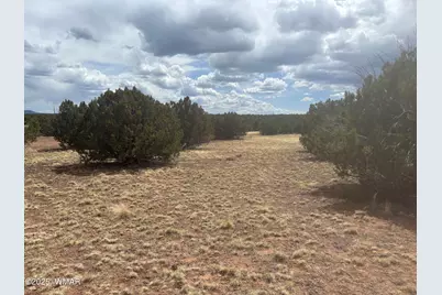 8659 Coronado Drive, Show Low, AZ 85901 - Photo 5