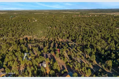 2901 Ridge Circle, Overgaard, AZ 85933 - Photo 45