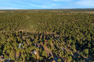 2901 Ridge Cir, Overgaard, AZ 85933 - Photo 45