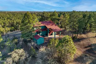 2901 Ridge Cir, Overgaard, AZ 85933 - Photo 41