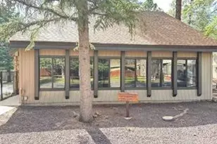 1460 S Adair Dr, Pinetop, AZ 85935 - Photo 21