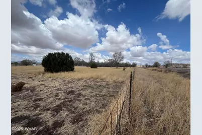 Tbd W Highway 60, Springerville, AZ 85938 - Photo 3