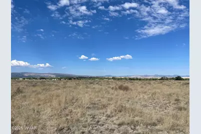 Tbd Tumbling T Drive, Springerville, AZ 85938 - Photo 1