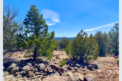 74 County Road 8056, Concho, AZ 85924 - Photo 3