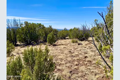 74 County Road 8056, Concho, AZ 85924 - Photo 13