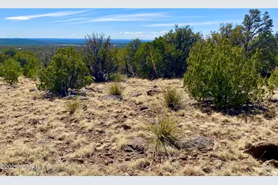 74 County Road 8056, Concho, AZ 85924 - Photo 17