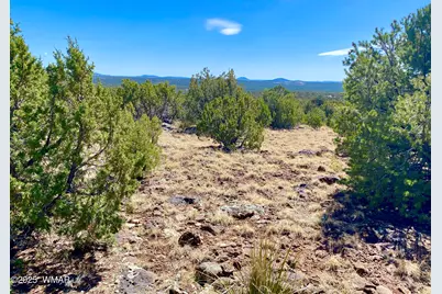 74 County Road 8056, Concho, AZ 85924 - Photo 15