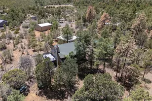 5449 Herd St, Pinedale, AZ 85934 - Photo 3