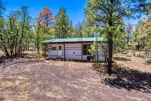 5449 Herd St, Pinedale, AZ 85934 - Photo 23