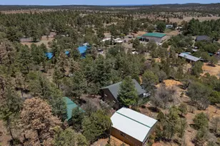 5449 Herd St, Pinedale, AZ 85934 - Photo 25