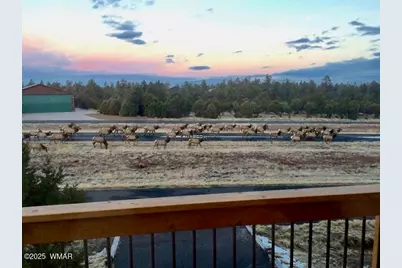 2335 Voyager Circle, Overgaard, AZ 85933 - Photo 61