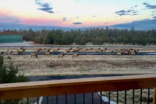 2335 Voyager Cir, Overgaard, AZ 85933 - Photo 61