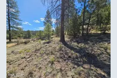 3326 Black Canyon Road, Heber, AZ 85928 - Photo 5