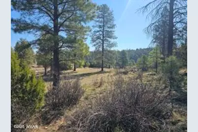 3326 Black Canyon Road, Heber, AZ 85928 - Photo 3