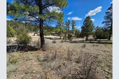 3326 Black Canyon Road, Heber, AZ 85928 - Photo 9