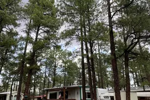 181 N 6th Dr, Show Low, AZ 85901 - Photo 1