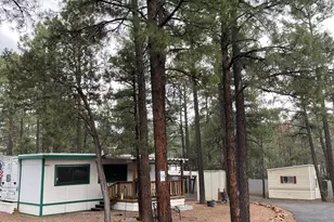 181 N 6th Dr, Show Low, AZ 85901 - Photo 5