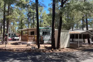 181 N 6th Dr, Show Low, AZ 85901 - Photo 1