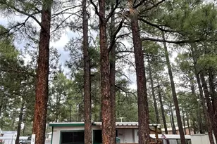 181 N 6th Dr, Show Low, AZ 85901 - Photo 3