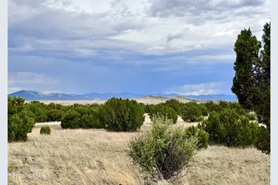 Tbd County Rd N3440, Concho, AZ 85924 - Photo 3