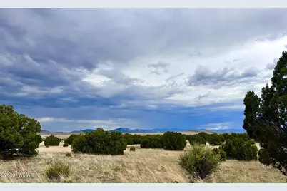 Tbd County Rd N3440, Concho, AZ 85924 - Photo 1