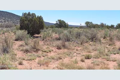 3987 Aztec Road, Snowflake, AZ 85937 - Photo 3