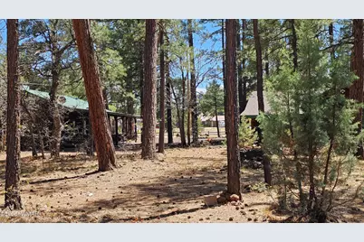182 W White Mountain Boulevard, Lakeside, AZ 85929 - Photo 63