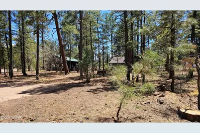 182 W White Mountain Boulevard, Lakeside, AZ 85929 - Photo 59