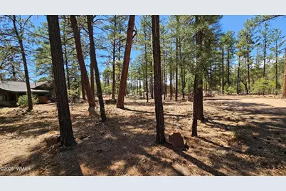 182 W White Mountain Boulevard, Lakeside, AZ 85929 - Photo 67