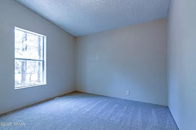 3130 W Young, Show Low, AZ 85901 - Photo 13