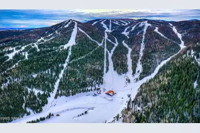 50 S Bench Circle, Show Low, AZ 85901 - Photo 39
